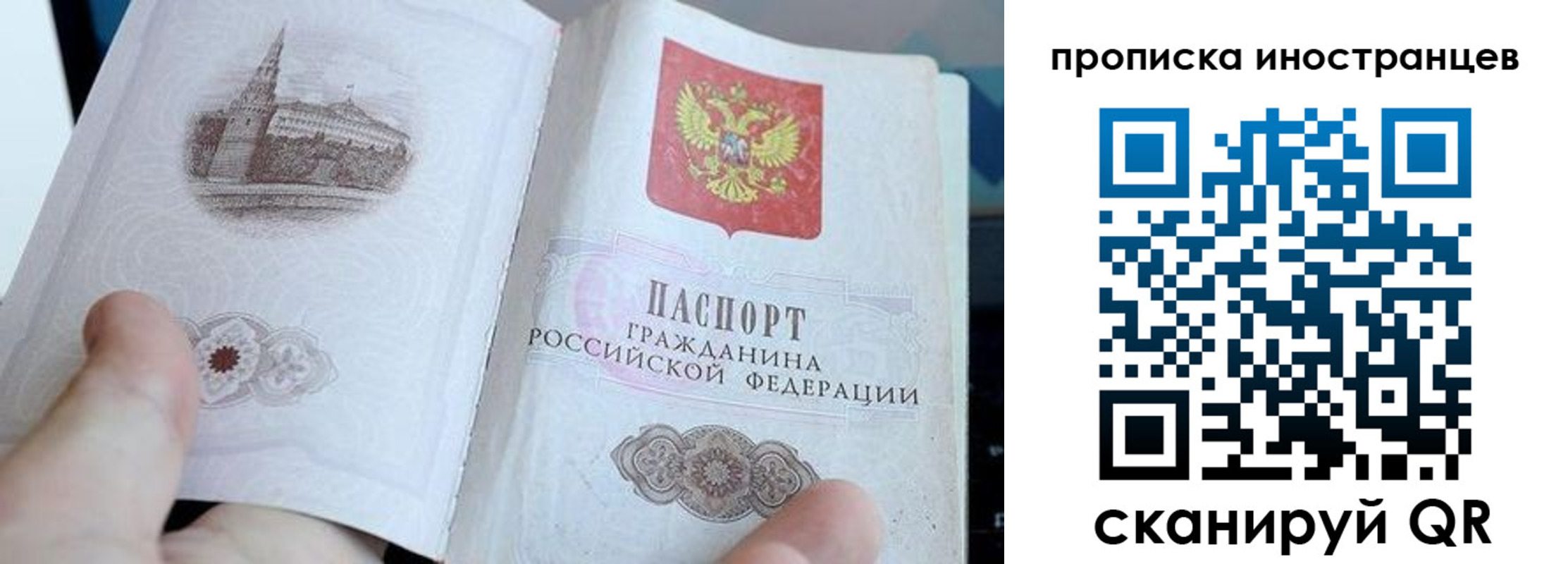 прописка поиск в Кандалакше